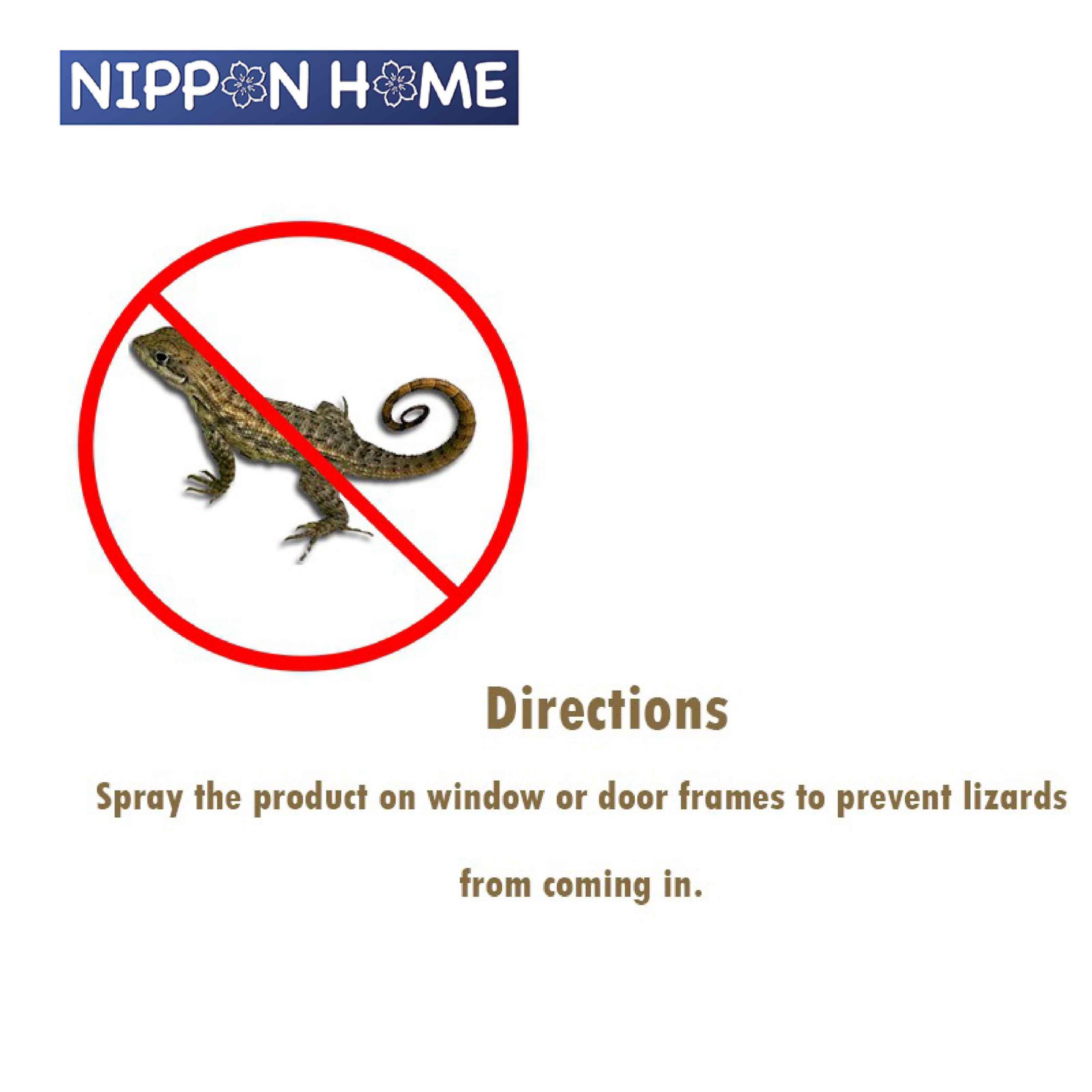 How to Use Lizard Control Products to Safeguard Your Home?, by BugsStop  Singapore
